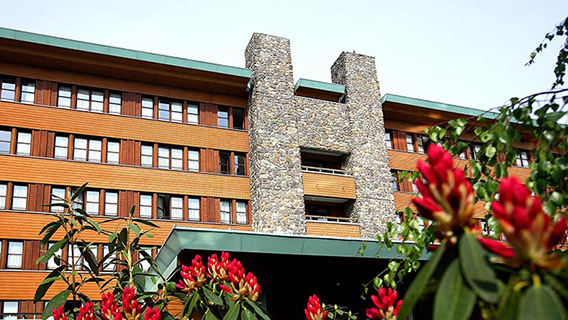 Disney Sequoia Lodge®