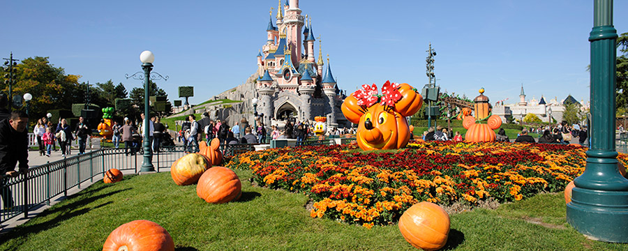 Pumpkins for Disney's Halloween Festival