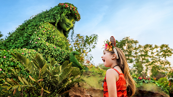 20% Off 14-Day Tickets in Summer 2025! - Save over £100 per person when you book by 31st March 2025!