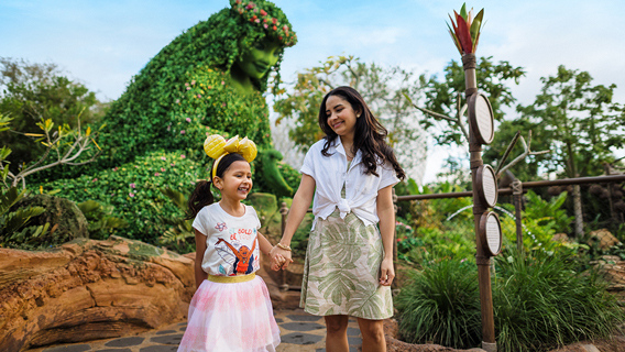 Our Lowest Prices Guaranteed! - Up to 20% off 14-Day Tickets in 2026!