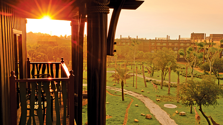 A beautiful sunset at Disney's Animal Kingdom Lodge