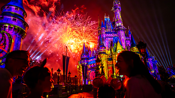 Disney Fireworks and Shows for all Ages