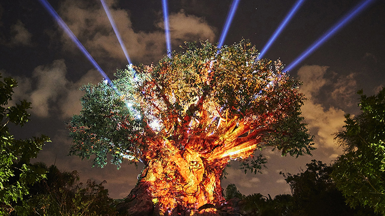 Tree of Life at night at Animal Kingdom