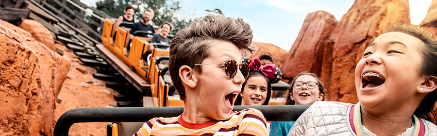 Kids Having Fun on Roller Coaster